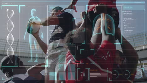 animación de datos y estadísticas del cuerpo humano sobre dos equipos de rugby multiétnicos que juegan rugby