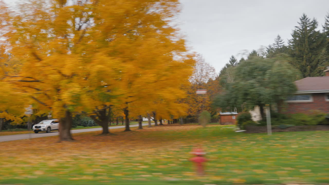 가을에 미국 교외를 따라 드라이브. 아름다운 노란색- ⁇ 은 색조의 나무와 관목