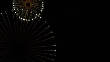 Animation of fireworks on black background