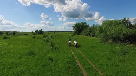 couple horseback riding in a green meadow