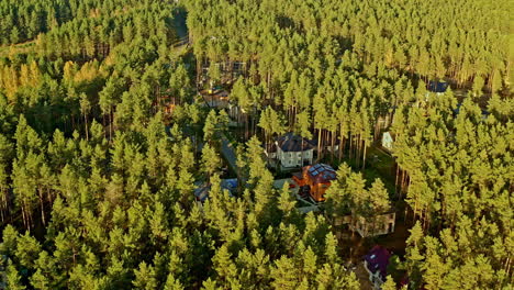 Imágenes-Aéreas-Circulares-De-Un-Barrio-Residencial-En-Un-Enorme-Bosque-De-Pinos-Cerca-De-Riga-En-Letonia