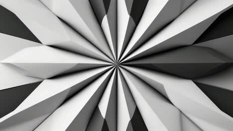abstract black and white radial pattern