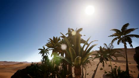 Erg-Chebbi-Dunes-in-the-Sahara-Desert