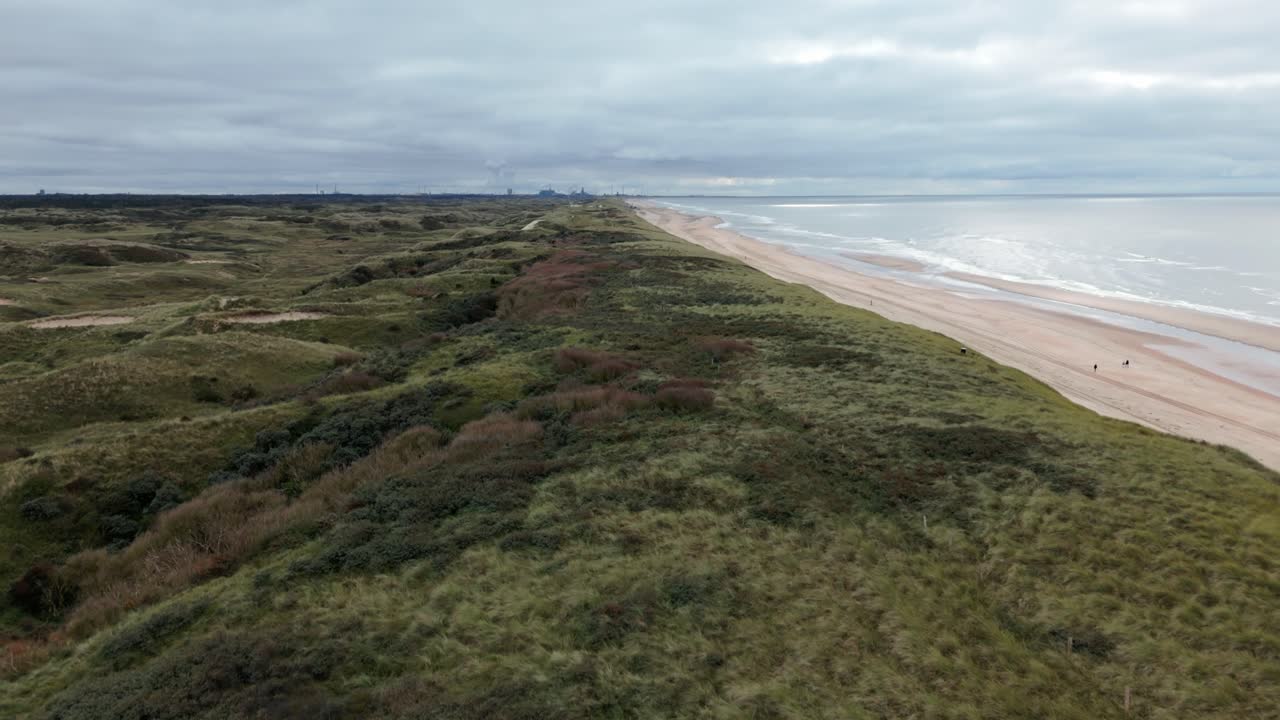 Rolig kystlinje med grønne klitter, Egmond aan Zee, Nordsøen