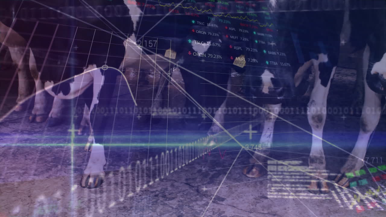 Cow hooves and legs getting overlaid with streaming financial graphs and binary code in 3D render