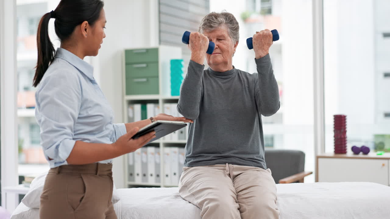 물리 치료사, 치료사