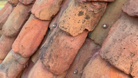 closeup of red indian clay roof tiles