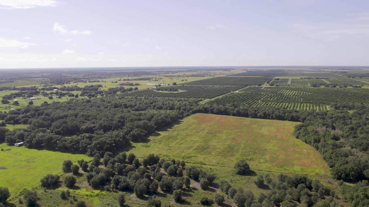 플로리다 의 사탕수수 오렌지 농장 들 의 공중 사진