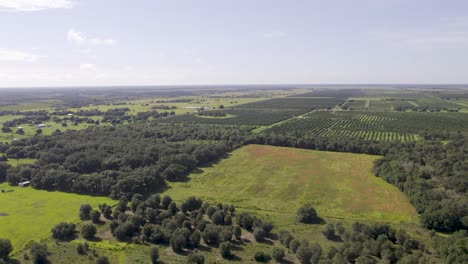 Vista-Aérea-De-Los-Campos-Agrícolas-De-Cítricos-Y-Naranjas-En-Florida.