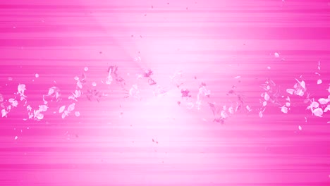 spiral shiny particle of cherry blossoms. sakura pattern. japanese cherry dancing. vortex from pink petals. abstract loop animation.