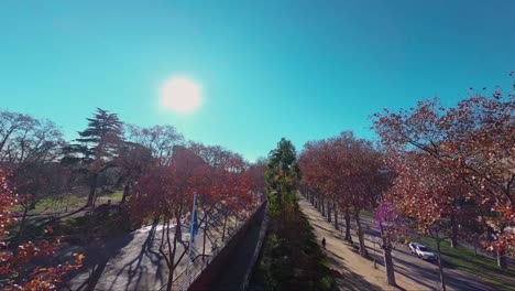 vuelo cinematográfico más allá de una colección de banderas de países en exhibición fuera de le corum en montpellier