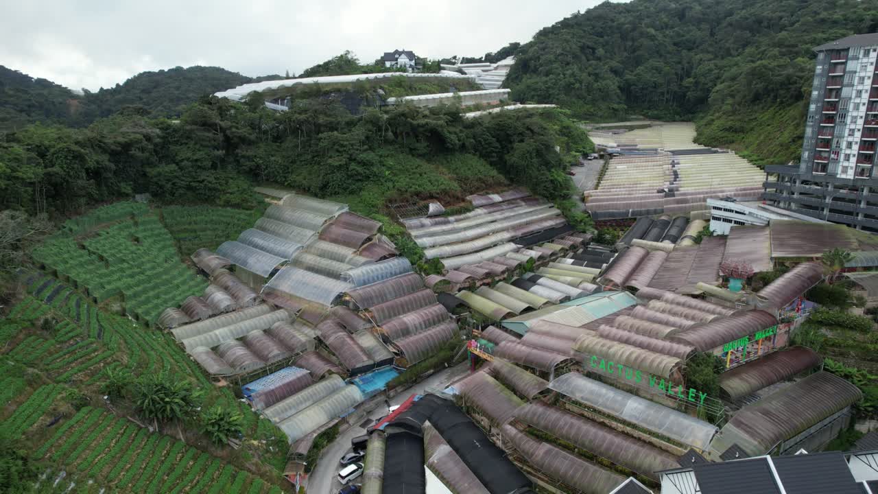 말레이시아의 카메론 하이랜드 지역 내의 브린창 지역의 일반 풍경