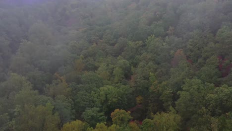 foggy day at amicalola state park in georgia