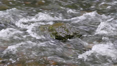 Wasser-Fließt-über-Steine-In-Wissahickon-Creek