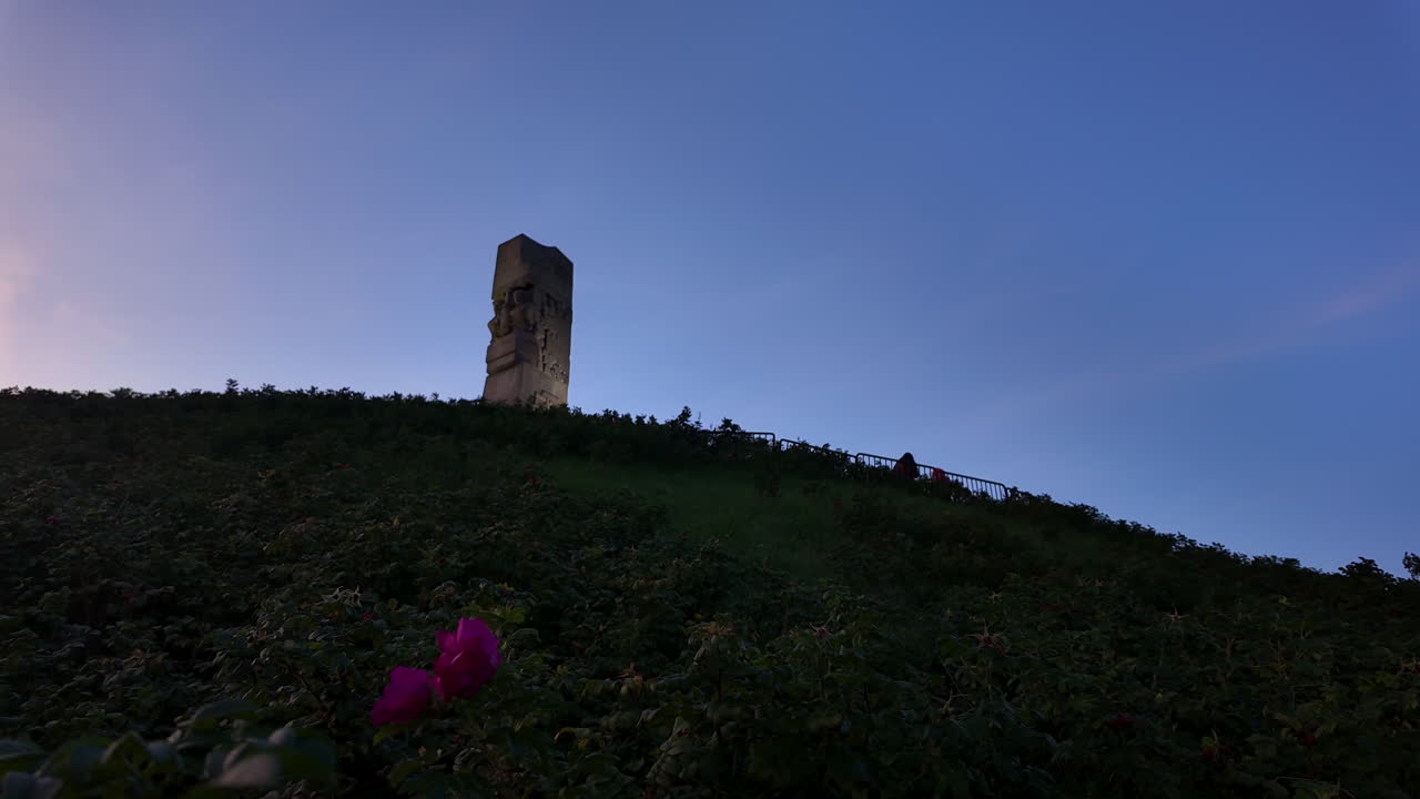The Monument to the Defenders of the Coast rises above a dark green hill at sunset, with a pink flower blurring the foreground view