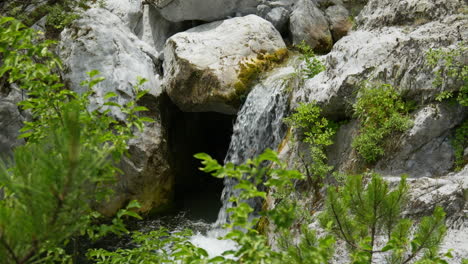 fotografía en cámara lenta de una cascada rodeada de árboles y rocas montaña olimpo enipeas desfiladero del río grecia