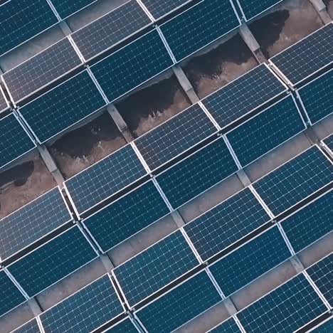 paneles solares en el techo
