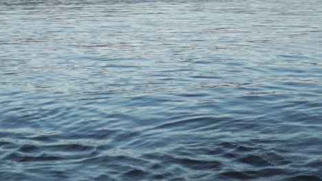 blue ocean water rippling in the light close up