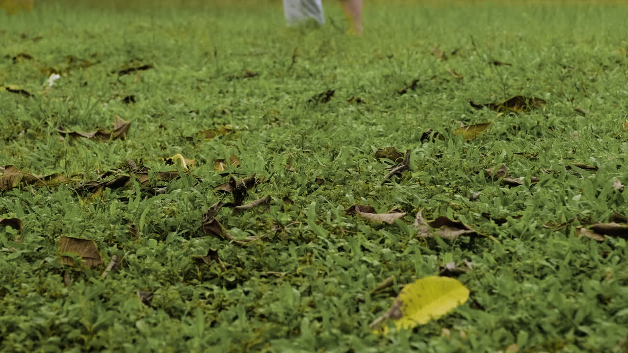 태권도를 연습하는 젊은이