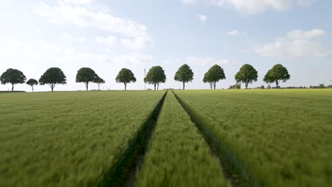 aerial drone forward moving shot over a path surrounded by green farmlands, leading to a road in brunswick, germany on a sunny day