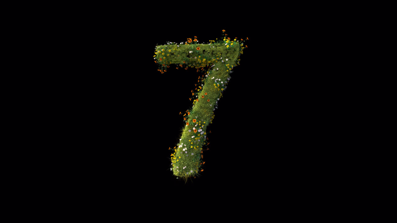 Numero 7 che cresce con erba verde e fiori colorati