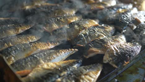 grilled fish eminonu pier, fish and bread eminonu square, fatih istanbul turkey