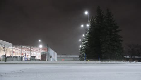 wind blowing snow on the ground in winter