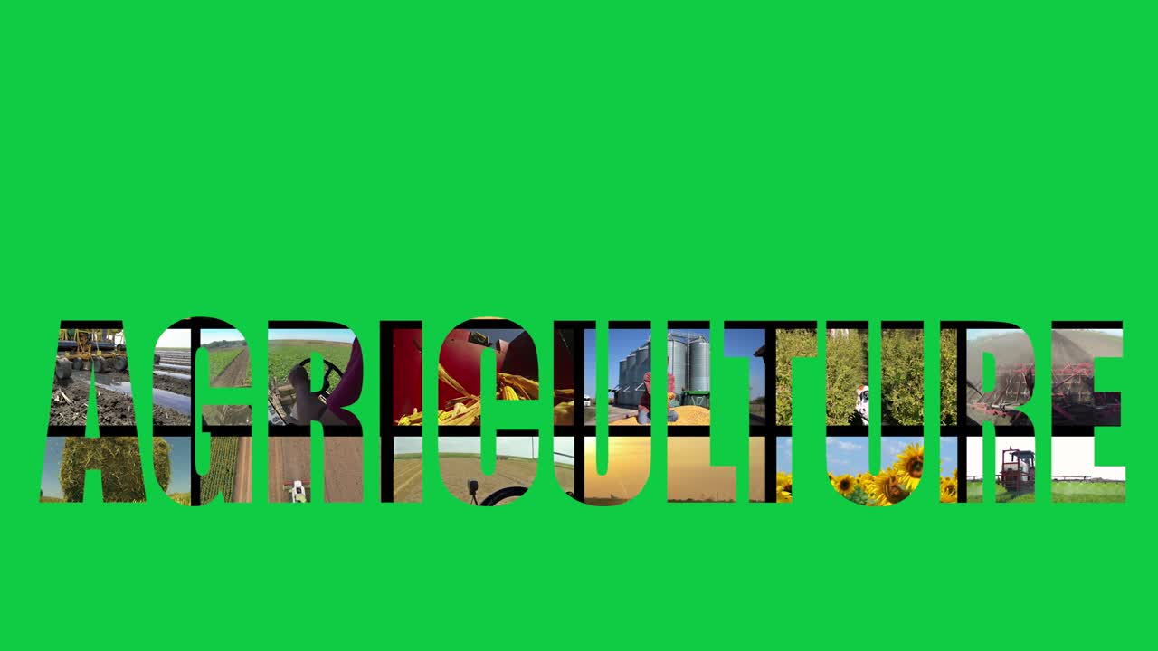 vídeo conceptual agrícola en varias pantallas