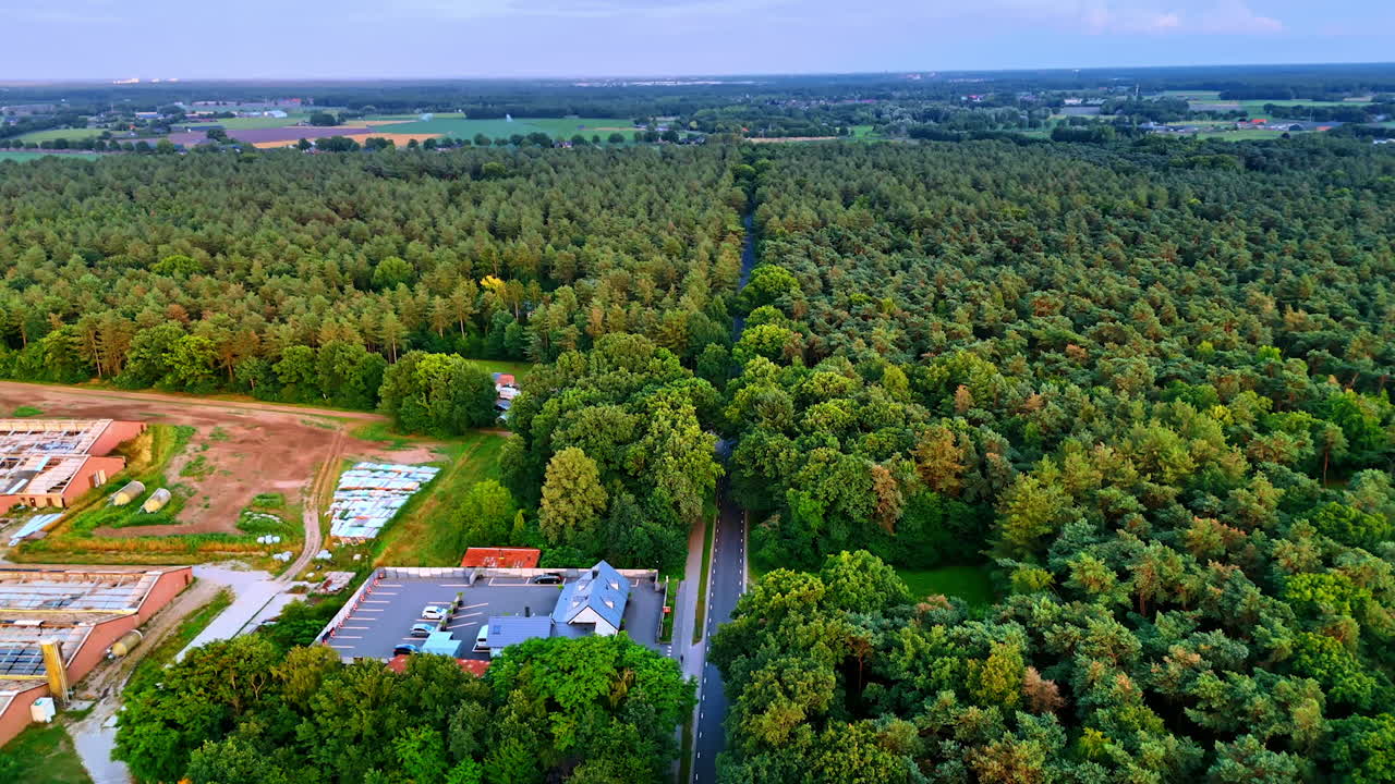 Rustic roads in green hills. Lush green forest stretches across the landscape, with a winding road leading through the trees in the evening light