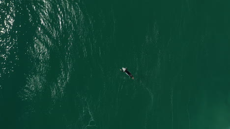 4K-Drohnenaufnahme-Eines-Surfers,-Der-Mit-Seinem-Surfbrett-In-Australien-Unter-Einer-Großen-Meereswelle-Taucht