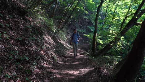 Man-Hiking-And-Walking-By-The-Green-Forest-With-Sunlight-Passing-On-The-Trees