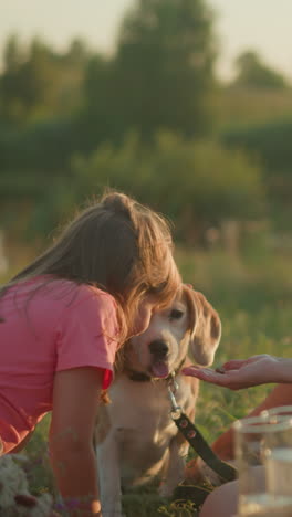 familia disfrutando de un picnic al aire libre en un día soleado con una niña jugando tocando a su perro mientras su tía mira con afecto, rodeada de comida, flores y alegría en el campo
