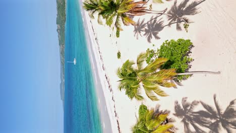 Vuelo-Vertical-De-Drones-Sobre-Arena-Blanca-Playa-Rincón-Con-Palmeras-Y-Mar-Tropical