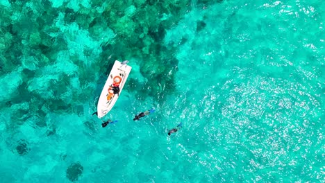 Snorkelers-Exploring-Underwater-Wonders-In-The-Philippine-Sea-With-Boat-Drifting