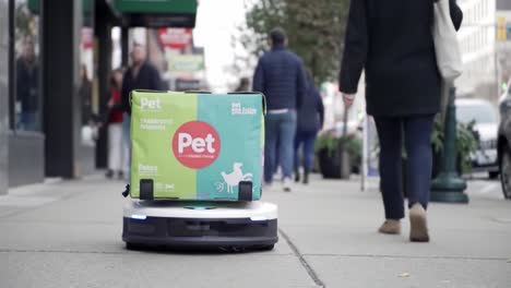 an innovative delivery robot navigating a busy sidewalk while transporting pet supplies, showcasing the future of automated logistics in urban environments