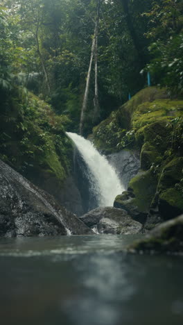 waterfall in a lush forest