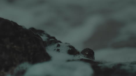 Macro-closeup-of-glistening-wet-rock-with-white-foamy-bubbles-spreading-on-surface