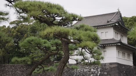 Friedliche-Kaiserliche-Gärten-In-Tokio-Japan-4k