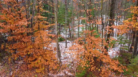 aerial walking through changing colour of mount washington, new hampshire, usa