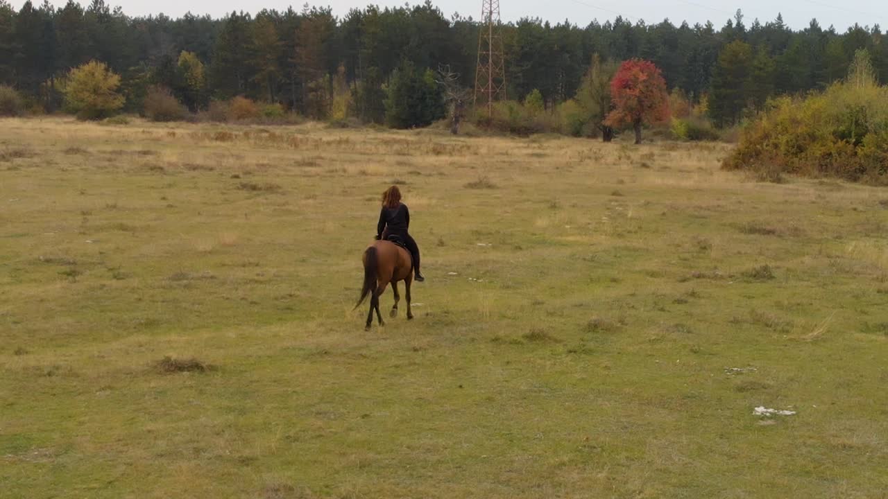 tiro de seguimiento aéreo bajo de niña montando a caballo en el campo de hierba-2