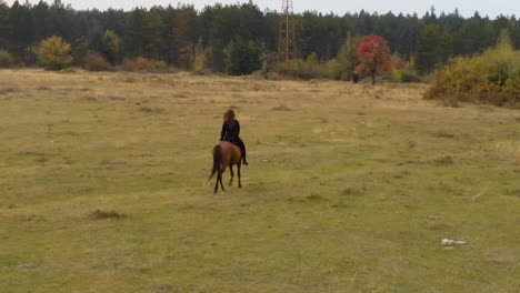 Low-aerial-tracking-shot-of-girl-ride-horse-in-grass-field-2