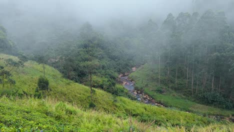 incoming fog and rain moving sideways over idyllic mountainous landscape with small stream of water and forest trees in highlands of sri lanka