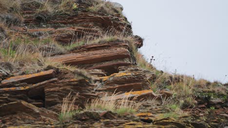 Chipped-layered-rocks-covered-with-grass-and-small-flowers