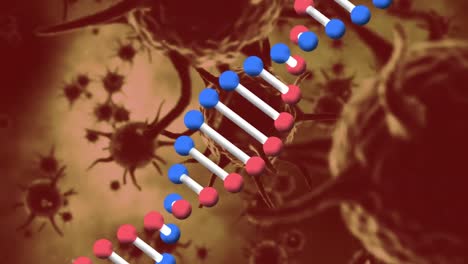 Animation-of-dna-strand-spinning-and-macro-covid-19-cells