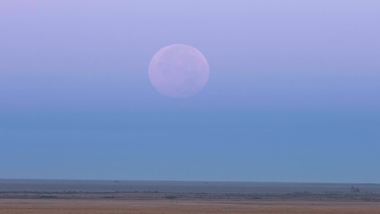 온달은 오후 하늘에서 지평선 위에서 토르가이 카자흐스탄의 야생하고 푸른 초원에서 볼 수 있습니다.