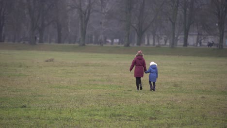 Menschen,-Die-Im-Nebel-Am-Ende-Der-Allee-Mit-Bäumen-Spazieren.-Geheimnisvolle-Atmosphäre-In-Der-Großstadt