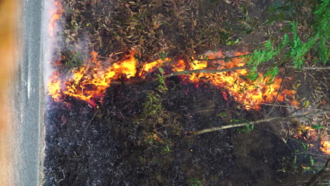 Zoom-out-shot-of-vegetation-fire-near-road,-Vietnam