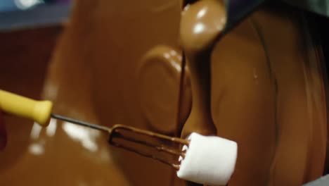 fork holding marshmallow dipped in chocolate blending machine