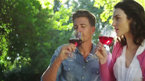 happy couple having red wine in park