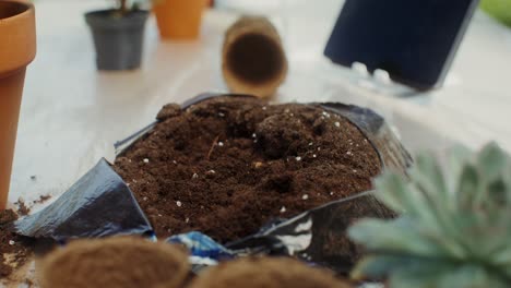 preparing potting soil for succulents and other plants